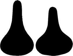 Mens and Womens saddle shape
